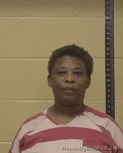 Mugshot of NICOLE DIANNE MILLER