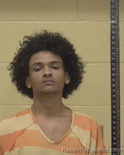 Mugshot of PHIBULUS DARNELL CARHEE