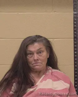 Booking photo from Bossier Parrish, Louisiana