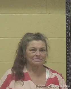 Mugshot of PAMELA JEAN WELLS booked in Bossier County, Louisiana on July 14, 2026