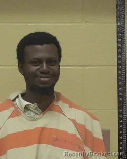 Mugshot of RASHAUN LYN MILES