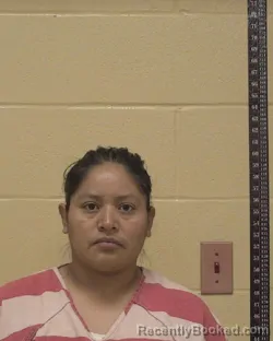 Mugshot of REGINA SILVIA VELASQUEZ-PEREZ booked in Bossier County, Louisiana on May 26, 2026