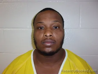 Mugshot of SHANNON L ANDERSON