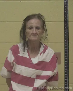 Mugshot of Sherri Lynn Boudreau booked in Bossier County, Louisiana on August 17, 2026
