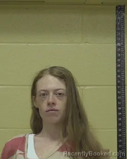 Mugshot of SARAH ANNE MARIE JOHNSON booked in Bossier County, Louisiana on May 17, 2026