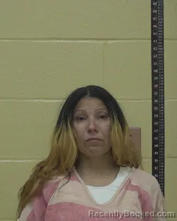 Mugshot of SONYA MARISSAD`ANN MORIN booked in Bossier County, Louisiana on May 16, 2026