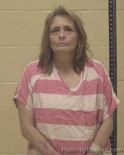 Mugshot of Sherri Lea Stevens booked in Bossier County, Louisiana on August 29, 2026