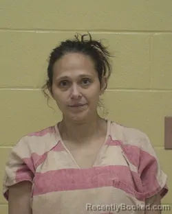 Mugshot of STEPHANIE LYNN TURNER booked in Bossier County, Louisiana on June 19, 2026