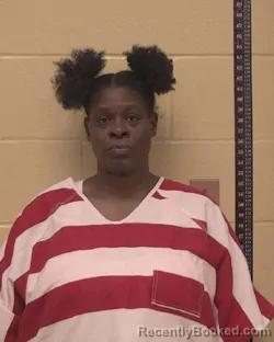 Mugshot of TAMMY DENISE MCNEIL booked in Bossier County, Louisiana on March 18, 2026