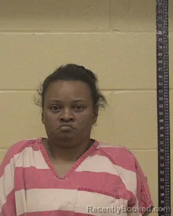Mugshot of TENESHA LASHUN PERRY