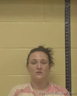 Mugshot of Vanessa Marie Scott booked in Bossier County, Louisiana on August 11, 2026