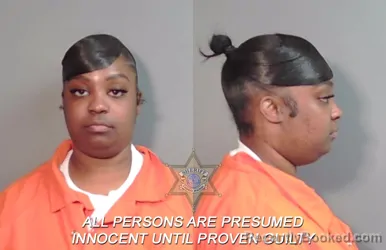 Mugshot of Alisha Deanza Ferguson