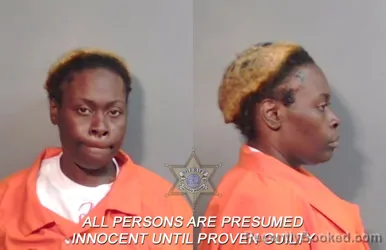 Mugshot of Lakivale Maniquia Richmond