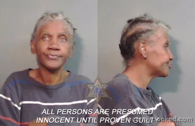 Mugshot of Janice Marie Scroggins