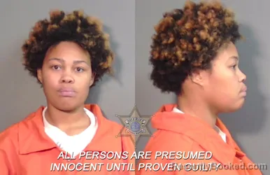 Booking photo from Caddo Parrish, Louisiana