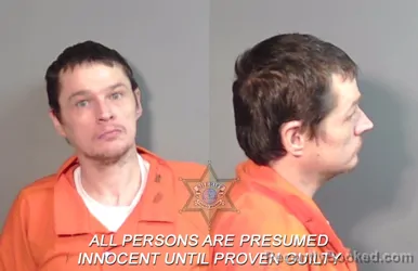 Booking photo from Caddo Parrish, Louisiana