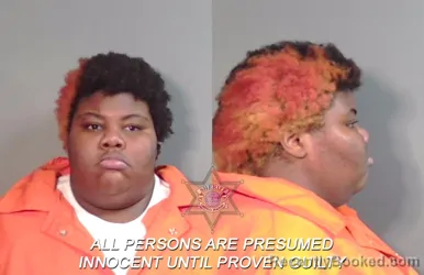 Mugshot of Shamaya Lanette Jeter