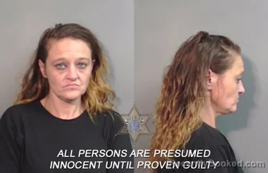 Mugshot of Dana Michelle Brown