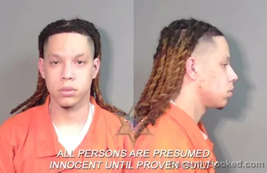 Mugshot of Christian Devante Efferson