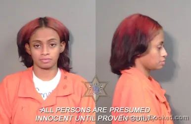 Mugshot of Condrea Shirella Bird