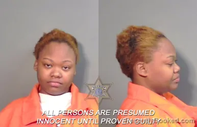 Booking photo from Caddo Parrish, Louisiana