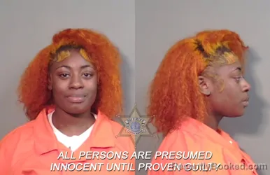 Mugshot of Ay'niyah Nicole Smith