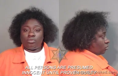 Mugshot of Ashley Danielle Smith