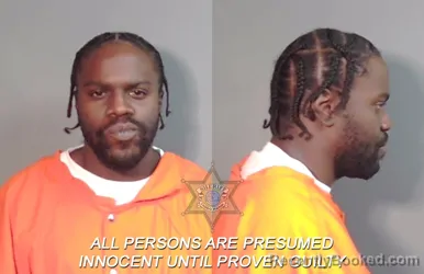 Mugshot of Armand Mendel Israel Mcgowan