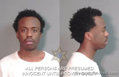 Mugshot of Nicholas Antonio Peterson