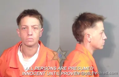 Mugshot of Kristina L Ivey