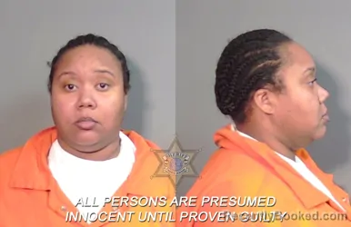 Mugshot of Breanna Renee Menard