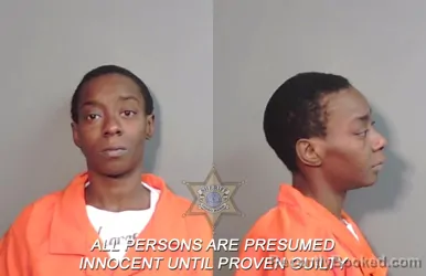 Mugshot of Eddreka D'ann Smith