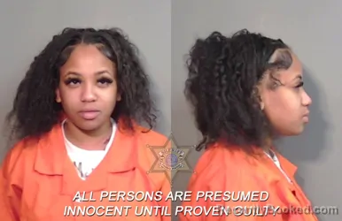 Mugshot of Eryn Celeste Godfrey