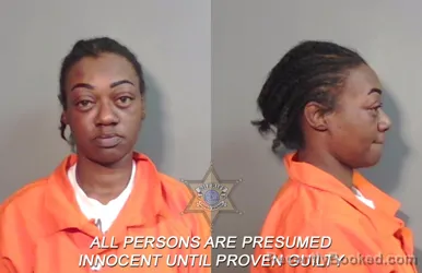 Mugshot of Dawneshia Joanette Bryant