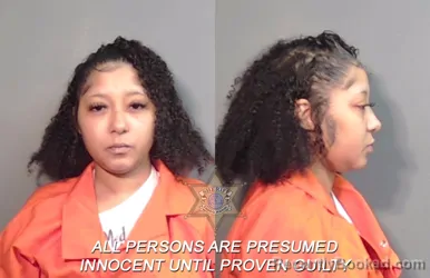 Booking photo from Caddo Parrish, Louisiana