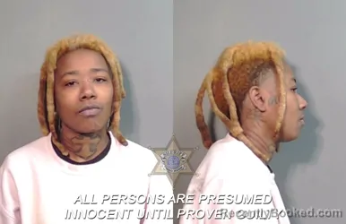 Mugshot of Robyn Ashley Sullivan