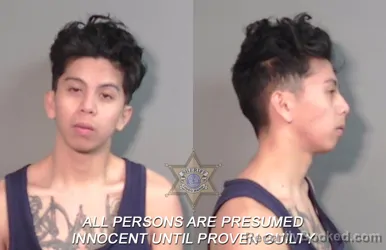 Booking photo from Caddo Parrish, Louisiana