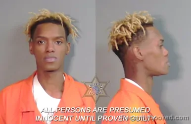 Mugshot of James Lamont Carter