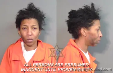 Mugshot of Tracie James Robinson