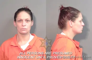 Mugshot of Dawn Marie Williams