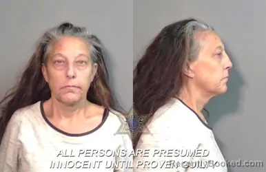 Mugshot of April Leann Holleman