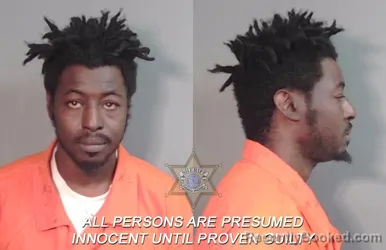 Mugshot of Jeremy James Fields