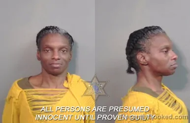 Mugshot of Lakisha Neechandra Taylor