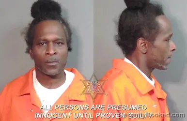 Mugshot of James Willis Williams