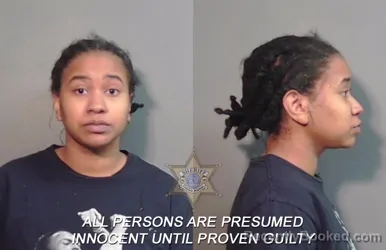 Mugshot of Cheyenne Kiana Simone Walpool