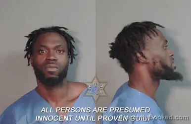 Mugshot of Ardis Chism