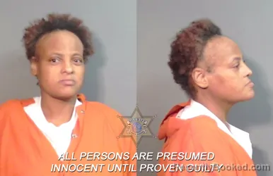 Mugshot of Nicole Lynette Taylor