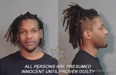 Mugshot of Darrell Demon Evans