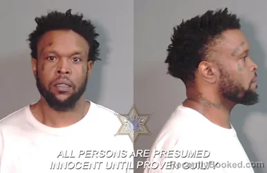 Mugshot of Traymill Donya Cherry