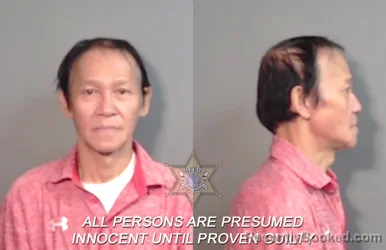 Mugshot of Thanh Le